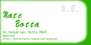 mate botta business card