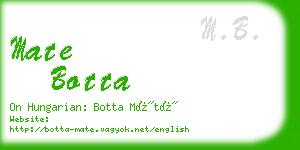 mate botta business card